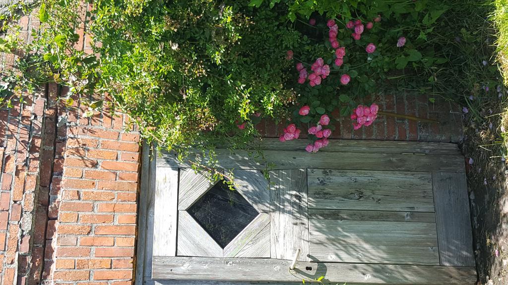Ferienwohnungen Zollhaus Utlandshoern Норден Екстериор снимка